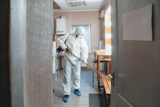 Best Forensic Mold Investigation  in Hazel Dell, WA