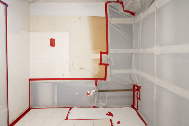 Best Attic Mold Removal  in Hazel Dell, WA