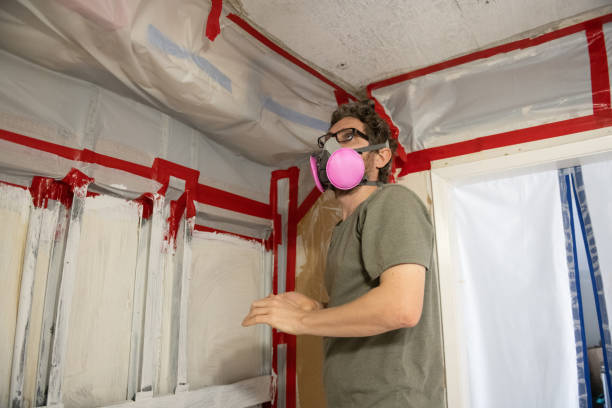 Best Emergency Mold Remediation  in Hazel Dell, WA